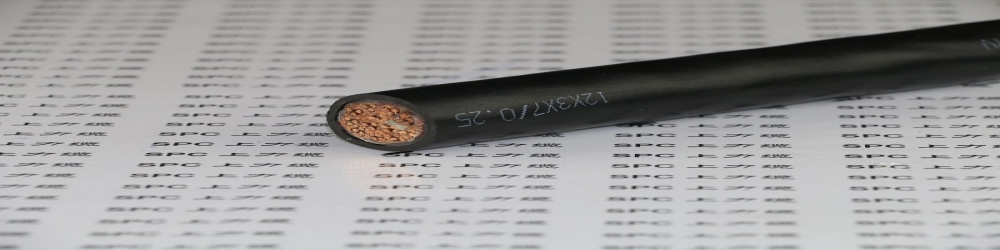 ZR-DJVPV22聚氯乙烯絕緣編織組屏蔽聚氯乙烯護套鋼帶鎧裝計算機電纜