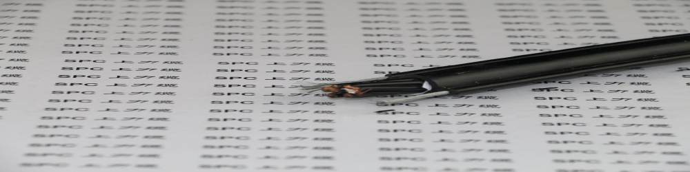 ?SPCCRANE-PVC-2YY2G高抗拉雙鋼絲行車手柄電纜  高強度自承式鋼索電纜