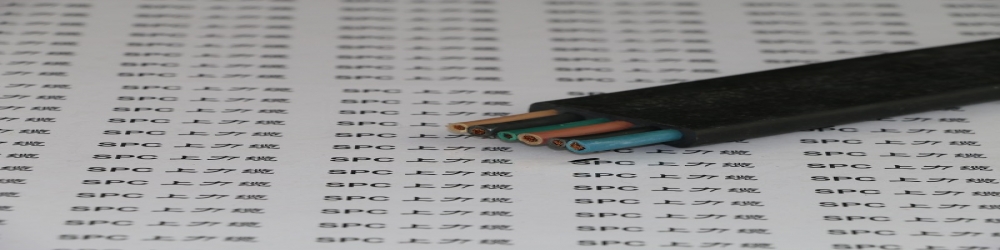 ?YCWBPG重型鋼絲加強屏蔽耐油扁電纜  SPCFLAT-RUBBER-CCWG耐油屏蔽扁電纜鋼絲加強型