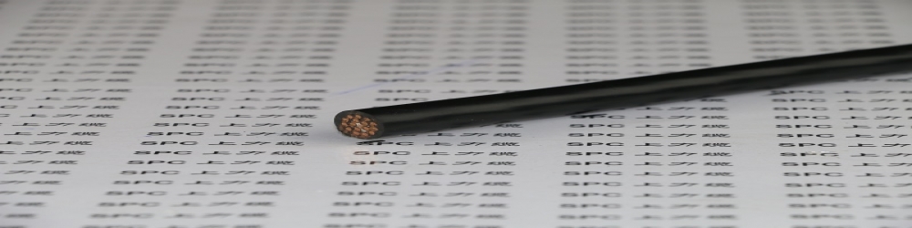 ?DJVPVR聚氯乙烯絕緣編織組屏蔽 計(jì)算機(jī)軟電纜