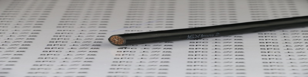 ?DJFP3FP3-32氟塑料絕緣鋁塑復(fù)合帶繞包組屏蔽及總屏蔽氟塑料護(hù)套鋼絲鎧裝計(jì)算機(jī)電纜  ZR-DJFP3FP3-32計(jì)算機(jī)電纜