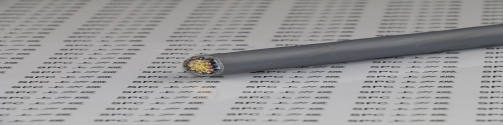 ?DJFPGP2-22氟塑料絕緣編織組屏蔽銅帶繞包總屏蔽硅橡膠護套鋼帶鎧裝計算機電纜  ZR-DJFPGP2-22計算機阻燃屏蔽電纜