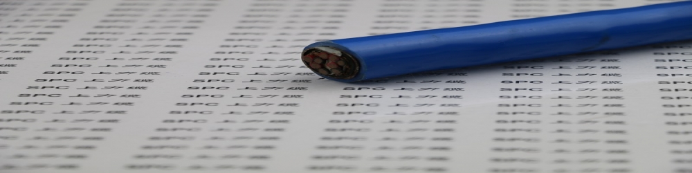 ?IA-DJYVP2聚乙烯絕緣銅帶繞包總屏蔽聚氯乙烯護套本安計算機電纜  ZR-IA-DJYVP2本安防爆計算機屏蔽電纜