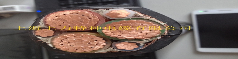 ?BPVP2VRP3聚氯乙烯絕緣聚氯乙烯護套銅帶繞包分屏蔽鋁塑復合帶繞包總屏蔽變頻軟電纜  SPCSFC-PVC-YK(L)Y電纜