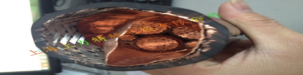 ?BPYJPVP2交聯聚乙烯絕緣聚氯乙烯護套銅絲編織分屏蔽銅帶繞包總屏蔽變頻電纜  SPCFC-PVC-2YCKY變頻專用電纜