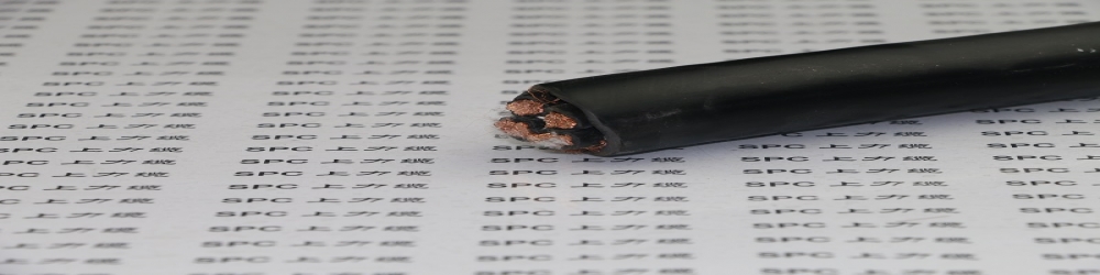 ?BPYJPVP32交聯(lián)聚乙烯絕緣聚氯乙烯護(hù)套銅絲編織分屏蔽及總屏蔽鋼絲鎧裝變頻電纜  SPCFC-PVC-2YCCBY變頻專用電纜